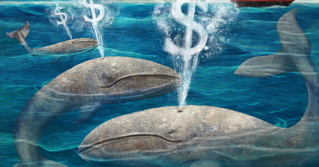 Help! A Cruise Line Charged Us $800 for a Day Trip We Didn’t Take.